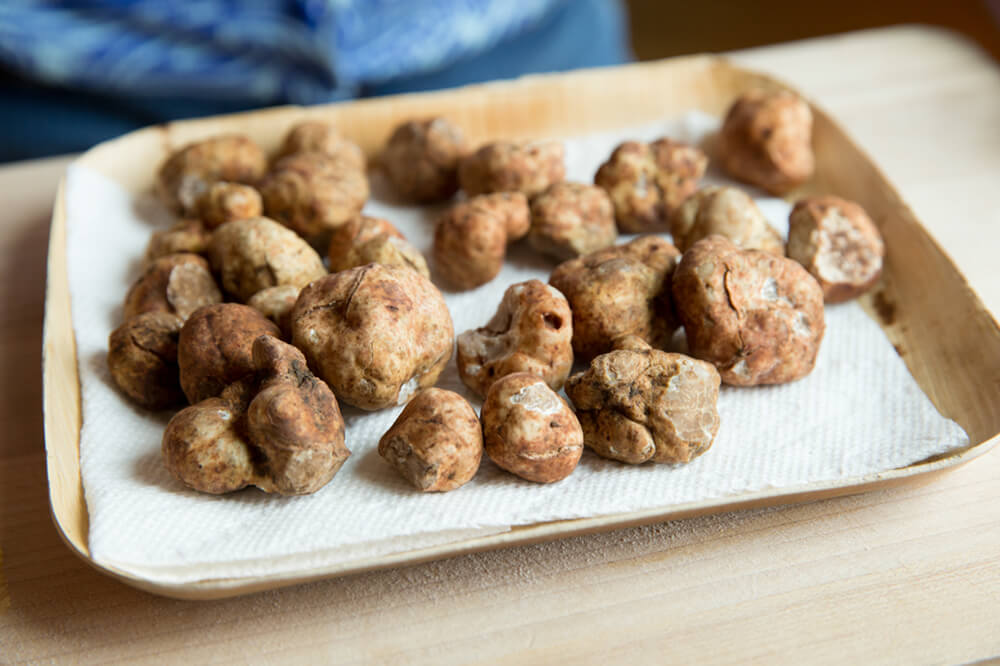 Oregon Truffles / photo by John Valls